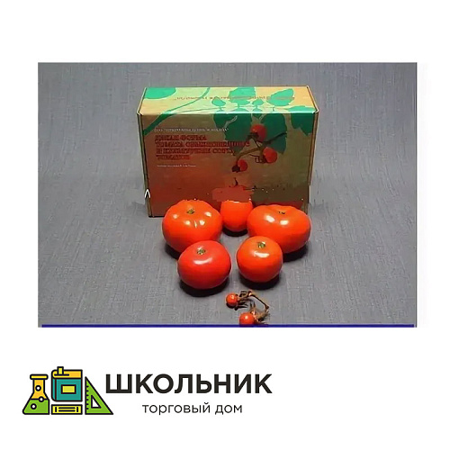 Набор муляжей "Дикая форма и культурные сорта томатов"