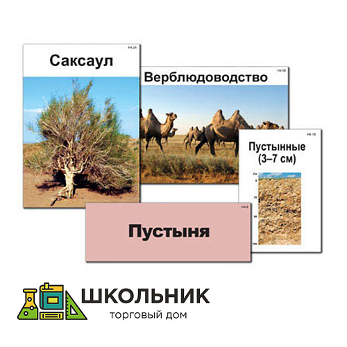 Модель-аппликация "Природные зоны России" (ламинированная)