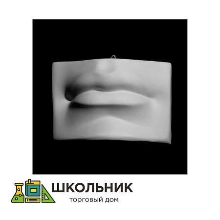 Губы Давида