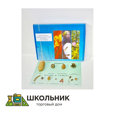 Коллекция «Шишки, плоды, семена деревьев и кустарников»