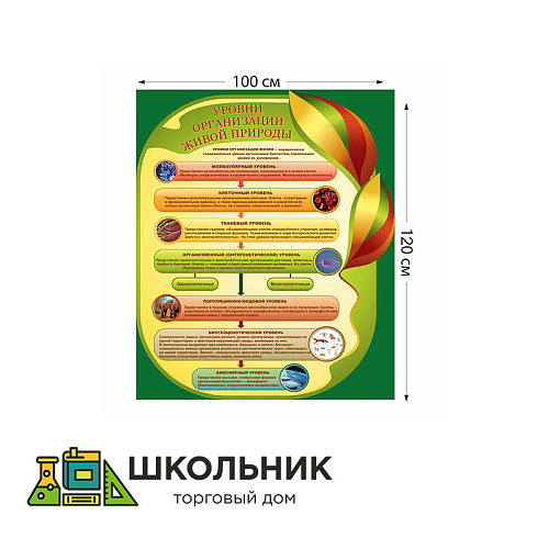 Стенд &quot;Уровни организации живой природы&quot; пластик 3 мм размер 1000 х 1500 мм