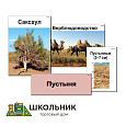 Модель-аппликация "Природные зоны России" (ламинированная)