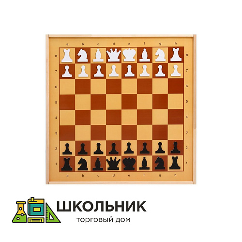 Шахматы магнитные