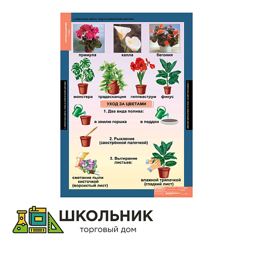 Окружающий мир 1 класс 