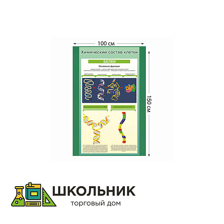 Стенд "Химический состав клетки" пластик 3 мм размер 1000 х 1500 мм 