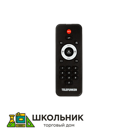 Портативная аудиосистема Telefunken